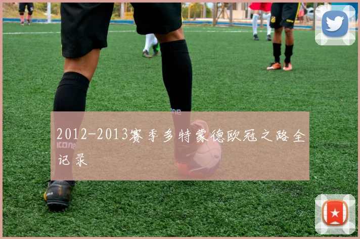 2012-2013赛季多特蒙德欧冠之路全记录