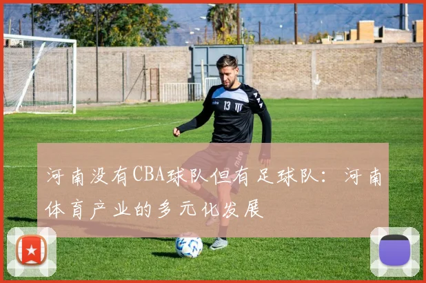 河南没有CBA球队但有足球队:河南体育产业的多元化发展