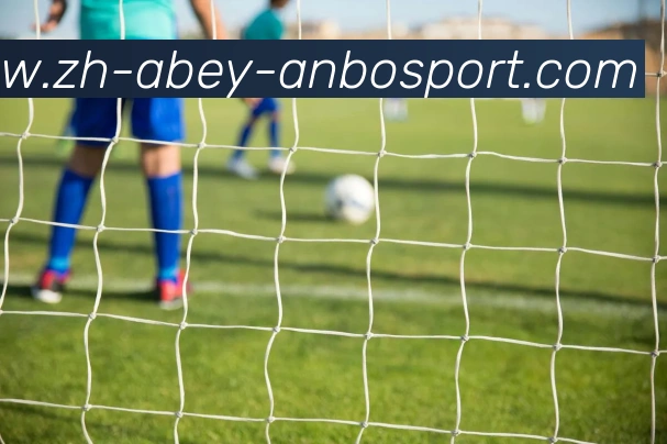 安博体育发展历程